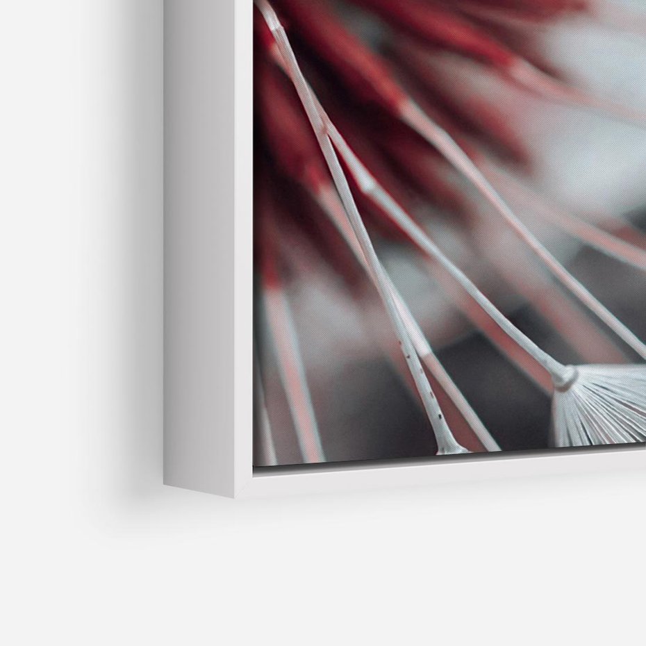 Obraz w ramie 70x50 - Makro świat dmuchawca - dmuchawiec, makro - rama biała