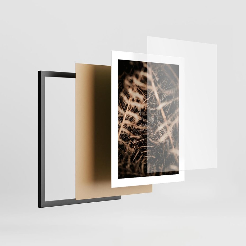 Plakat w ramie 30x40 - Liście i Paprocie - suche liście, paprocie - rama czarna