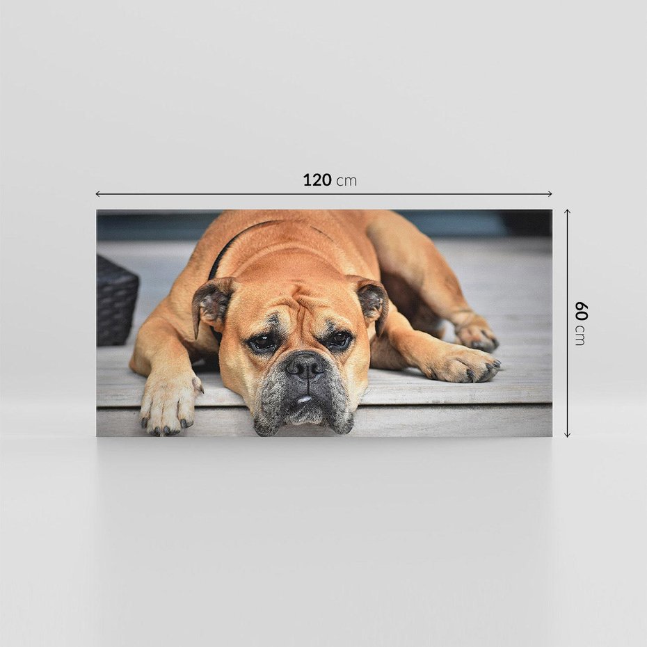 Obraz na płótnie 120x60 - Wernisaż piesek i zwierzaki - pies, piesek