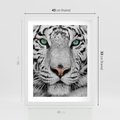 Plakat w ramie 40x50 - Magia Białego Tygrysa - biały, tygrys - rama biała