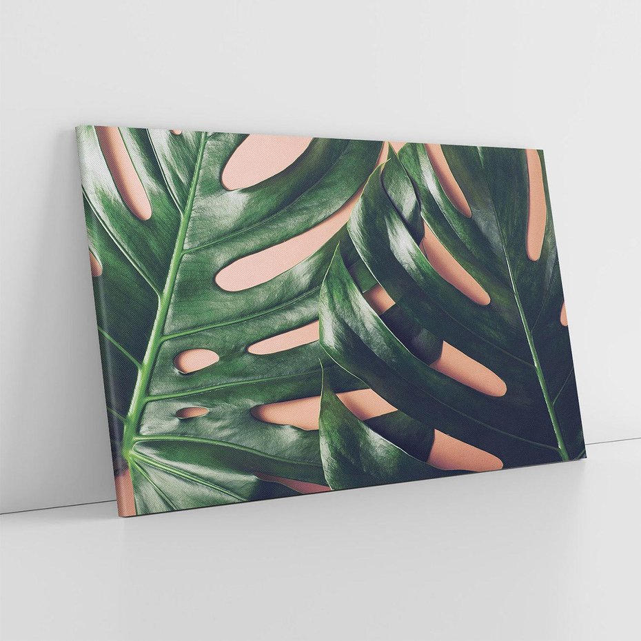 Obraz na płótnie 70x50 - Monstera Liście - monstera, liście