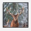 Obraz w ramie 50x50 - Monarcha Zimowej Dziczy - jeleń, zima - rama czarna
