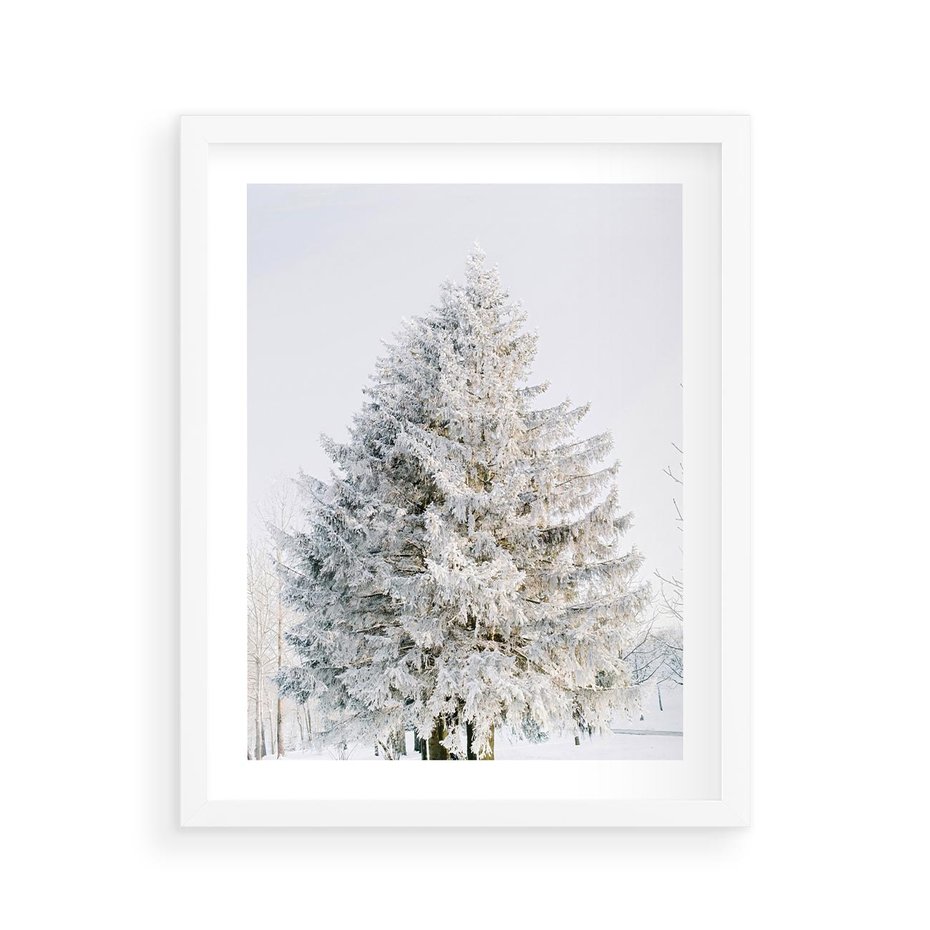 Plakat w ramie 40x50 - Zimowa Poezja w Ośnieżonym Drzewie - ośnieżone drzewo, zima - rama biała