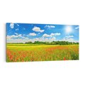 Obraz na płótnie 140x70 - Malownicze maki na łące - maki, łąka