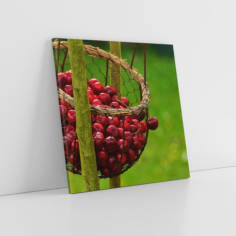 Obraz na płótnie 40x40 - Czereśnie w Koszyku Owocowy Skarb - czereśnie, koszyk