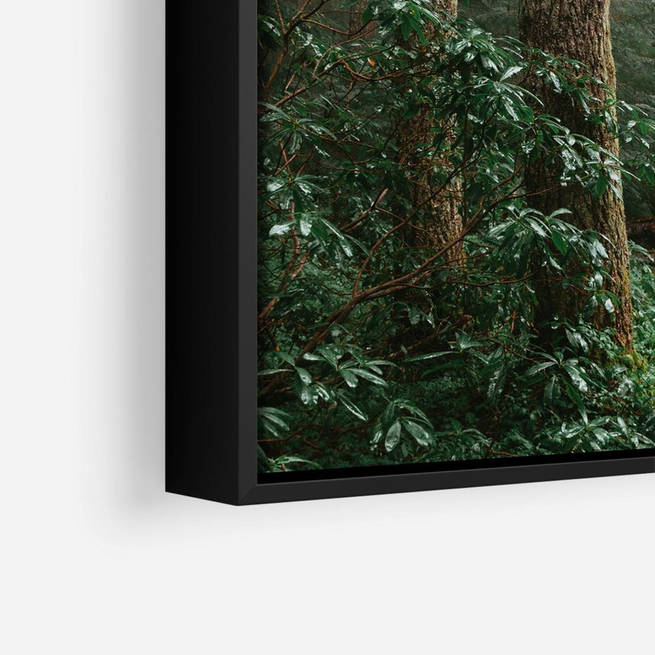 Obraz w ramie 50x50 - Mgliste Marzenia - artystyczna fotografia, las - rama czarna
