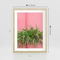 Plakat w ramie 30x40 - Fotografia Rośliny z Różowym Tłem - fotografia, zielona roślina na tle różwj ściany - rama drewno