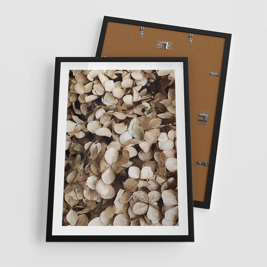 Plakat w ramie 50x70 - Delikatność Hortensji: Kompozycja Kwiatów w Beżu - hortensja, odcienie beżu - rama czarna