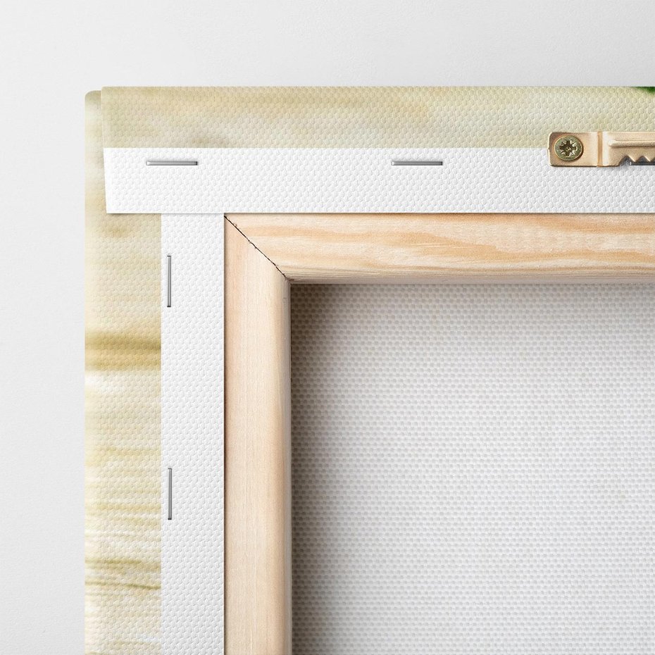 Obraz na płótnie 70x50 - delikatność kwiatu - róża, kwiat