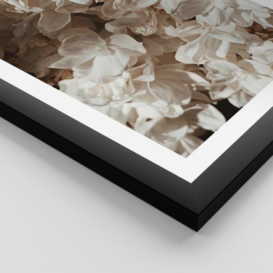 Plakat w ramie 30x40 - Płatki w Detalu - białe kwiaty, zbliżenie - rama czarna