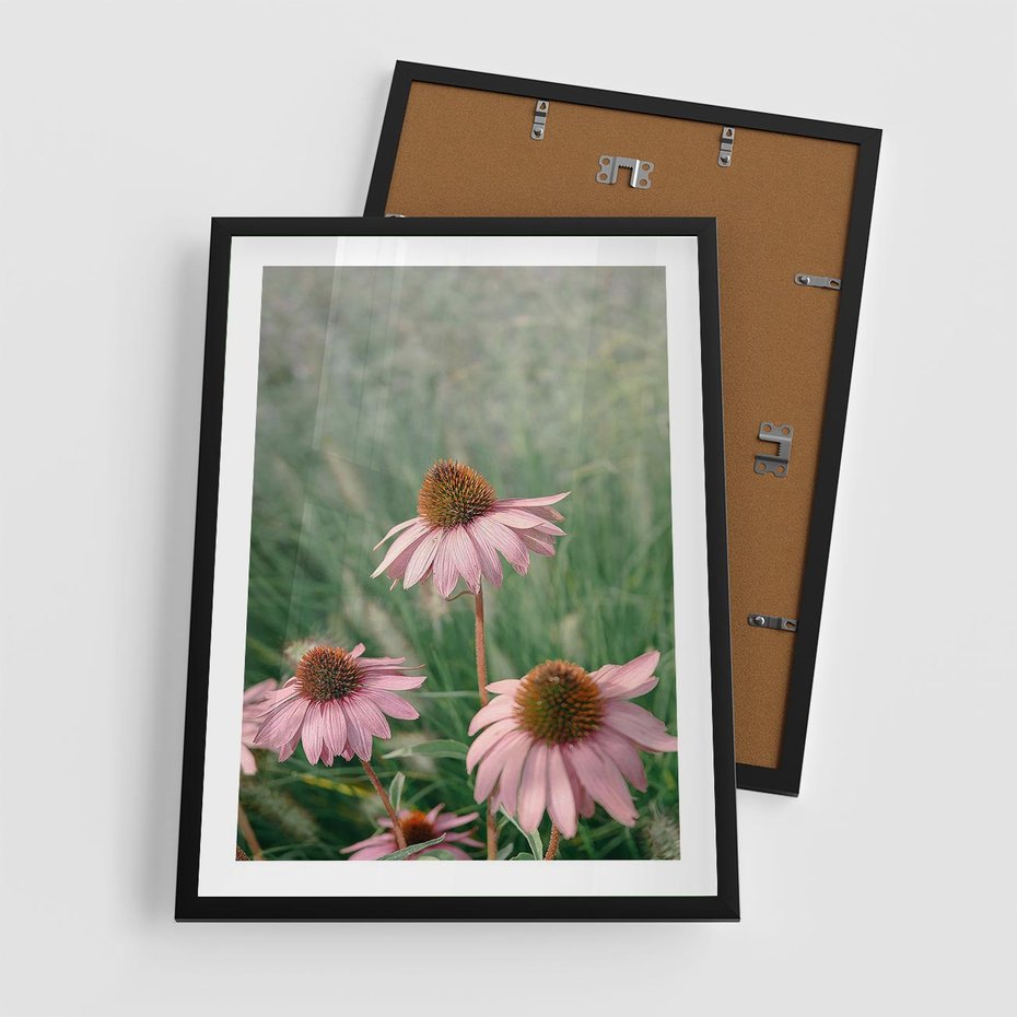 Plakat w ramie 50x70 - Natura w Pełnym Blasku - kwiaty na łące, różowe kwiaty polne - rama czarna
