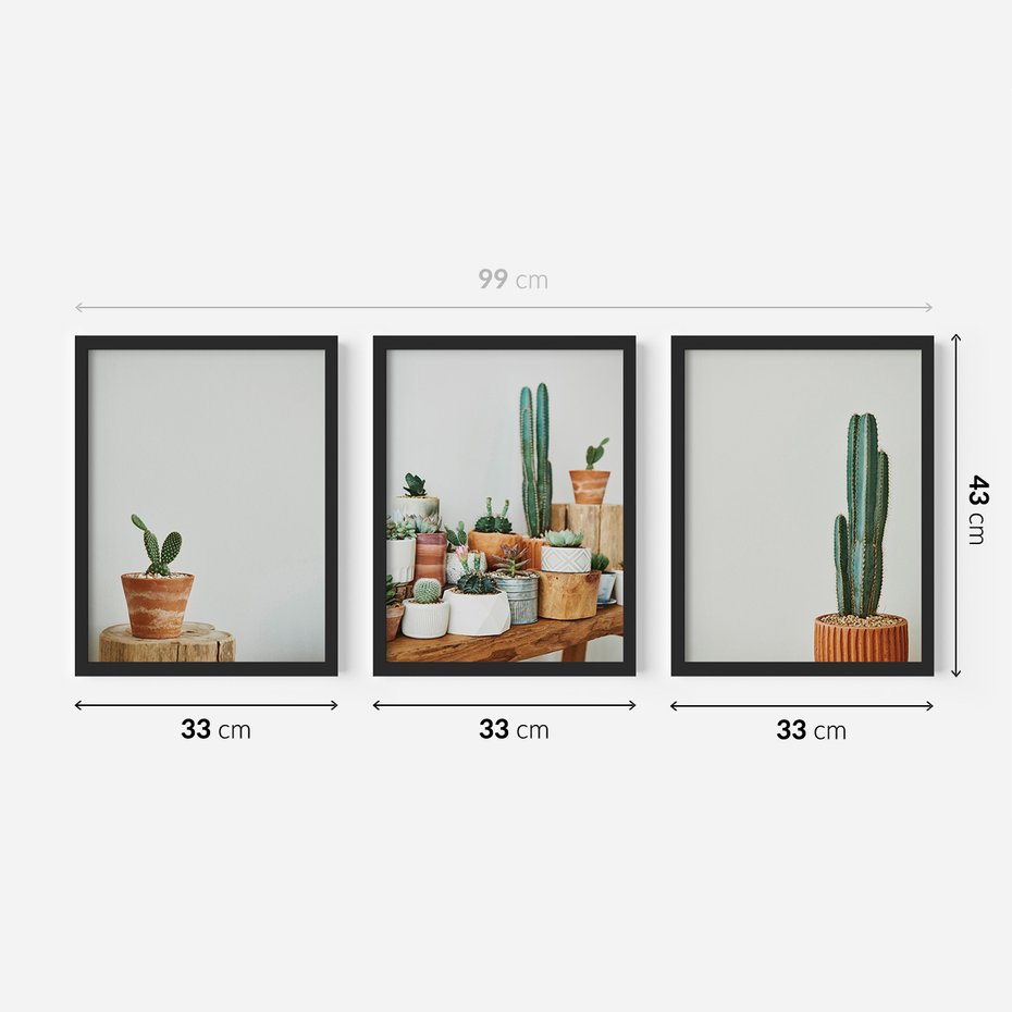 Zestaw obrazy w ramie 30x40 galeria - Kaktusy, w, doniczkach, boho - rama czarna