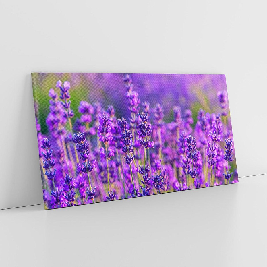 Obraz na płótnie 120x60 - Zaklęta lawenda - lawenda, kwiaty