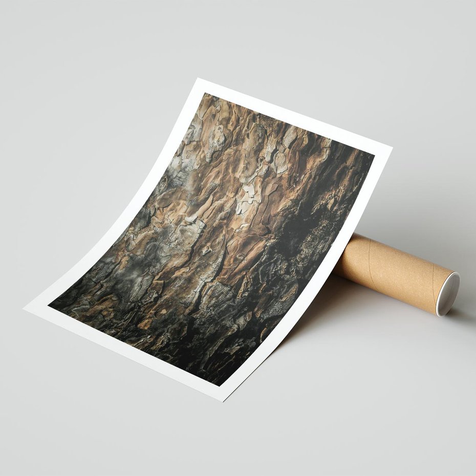 Plakat bez ramy 21x30 - Tekstura Drewna: Zbliżenie - zbliżenie na pień drzewa, tekstura