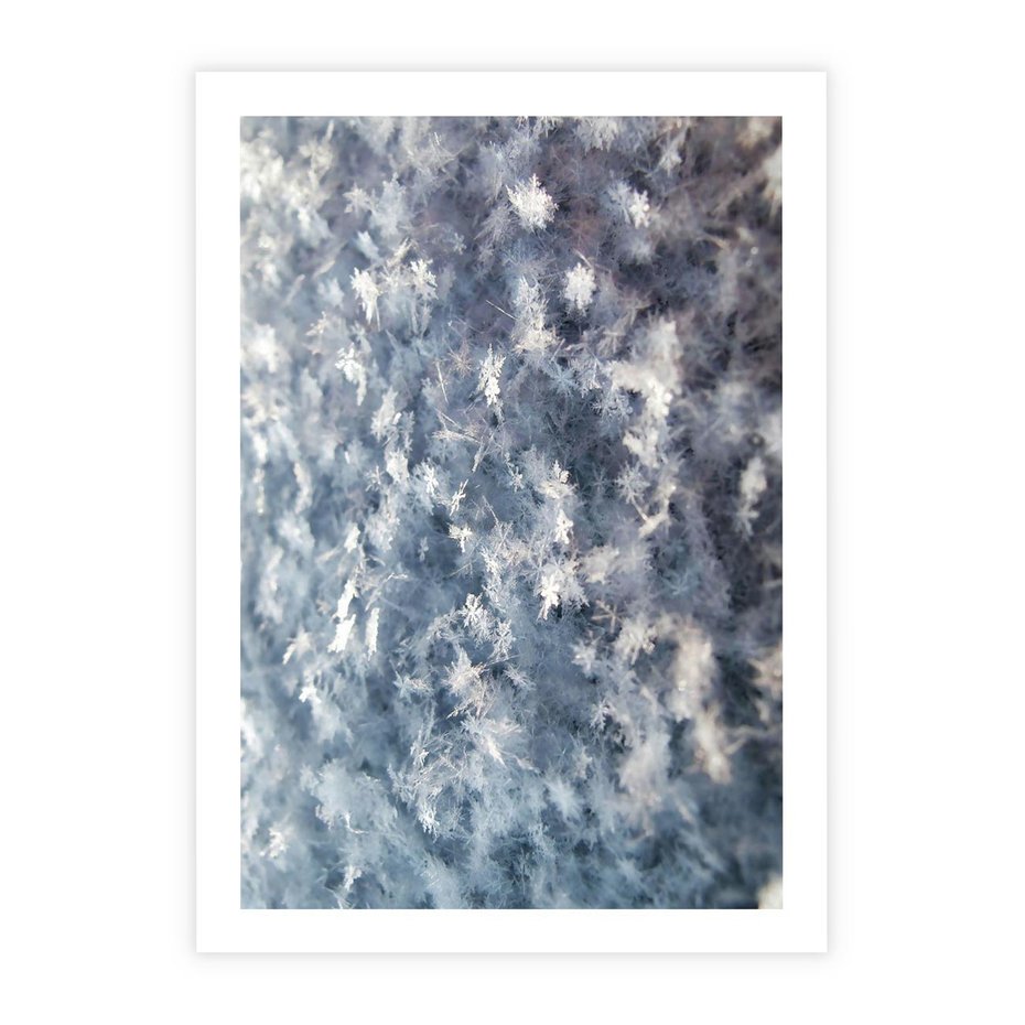 Plakat bez ramy 30x40 - Magia Śnieżnych Kryształków - śnieg, szron