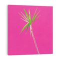 Obraz na płótnie 70x70 - Retro Stylizacja - palma, liście