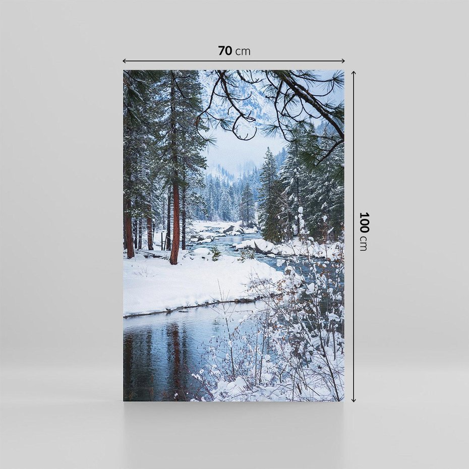 Obraz na płótnie 70x100 - Śnieżne cuda - zima, las