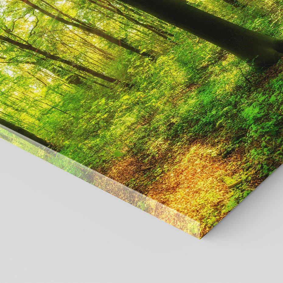 Obraz na płótnie 70x50 - Mistyfikujący las - las, drzewa