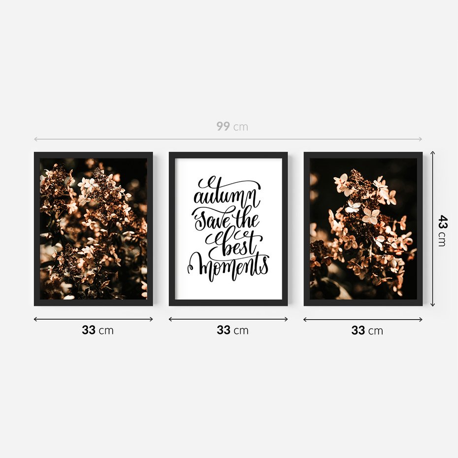 Zestaw obrazy w ramie 30x40 galeria - Hortensja, kwiaty, suche, cytat - rama czarna