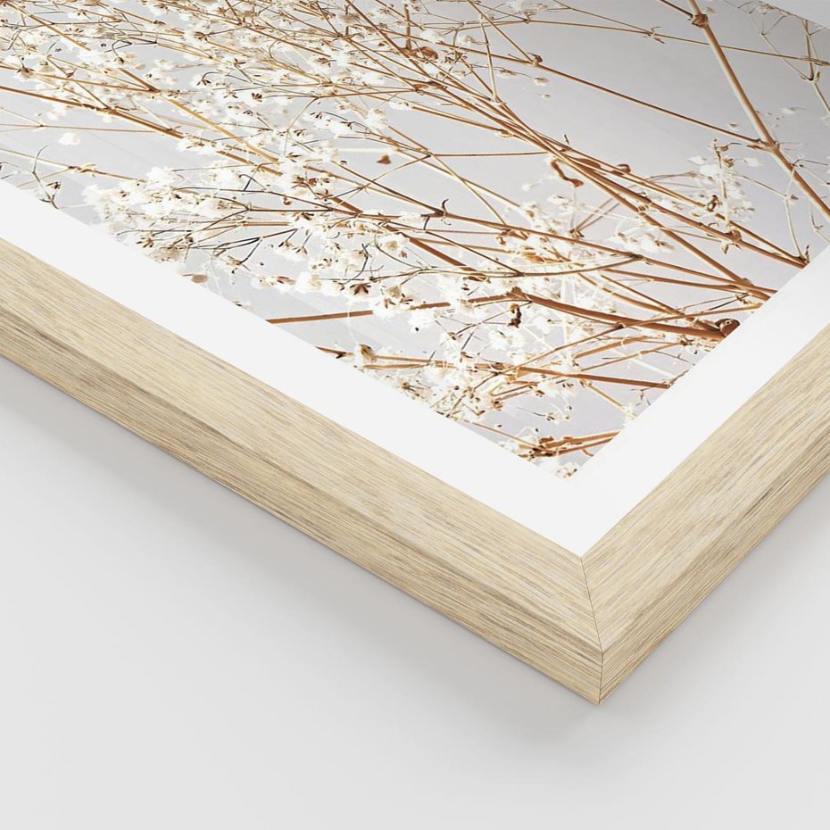 Plakat w ramie 50x70 - Minimalistyczna Delikatność - białe kwiaty, gipsówka - rama drewno