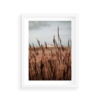 Plakat w ramie 50x70 - Wysokie Trawy w Górskim Krajobrazie - suche trawy, wysokie trawy - rama biała