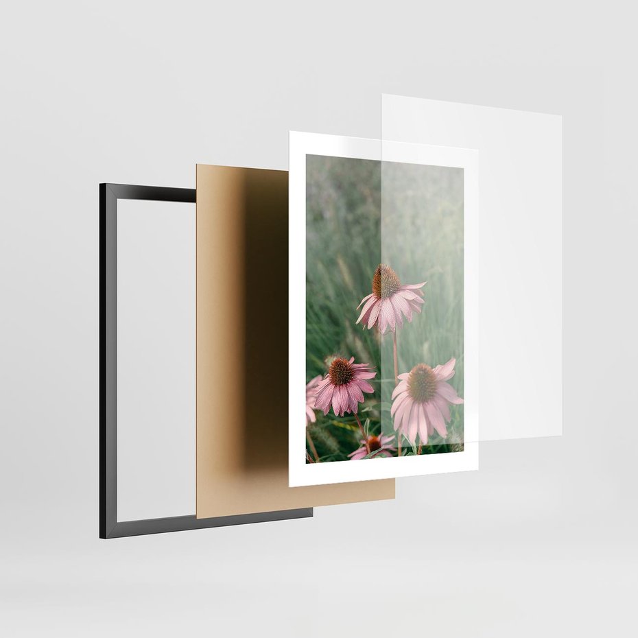 Plakat w ramie 30x40 - Natura w Pełnym Blasku - kwiaty na łące, różowe kwiaty polne - rama czarna