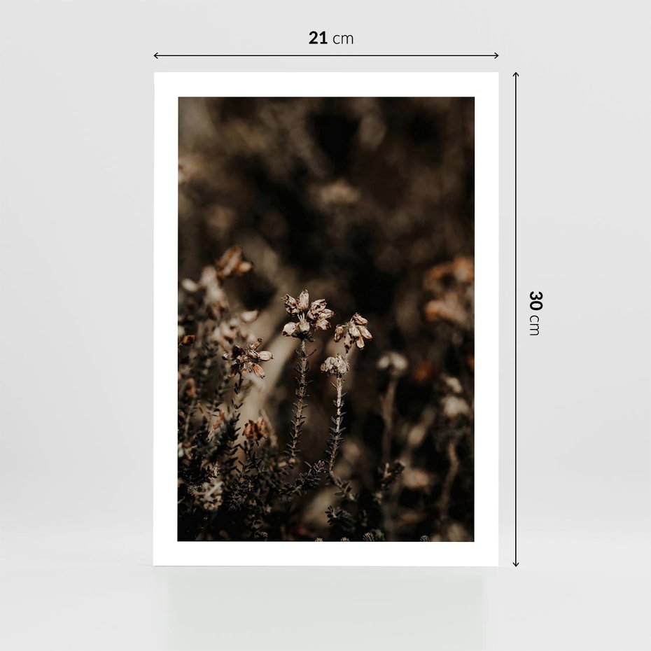 Plakat bez ramy 21x30 - Jesienny Urok - suche trawy, jesienny pejzaż