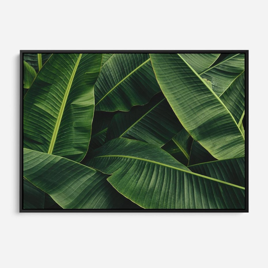 Obraz w ramie 70x50 - Zaklęta roślinna ekspresja - liście bananowca, gęsto ułożone - rama czarna
