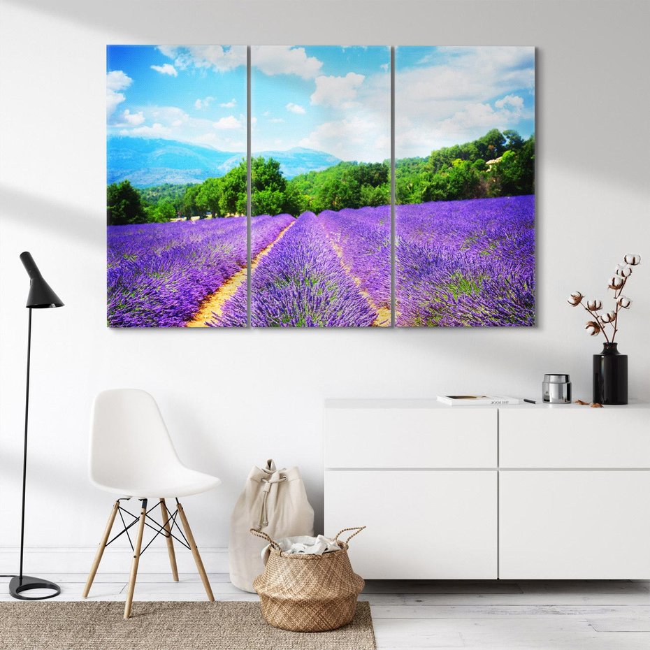 Obraz na płótnie 120x80 - Prowansalska Lawenda - lawenda, prowansja