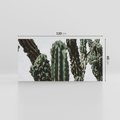 Obraz na płótnie 120x60 - Boho oaza wśród kaktusów - kaktusy, pustynia