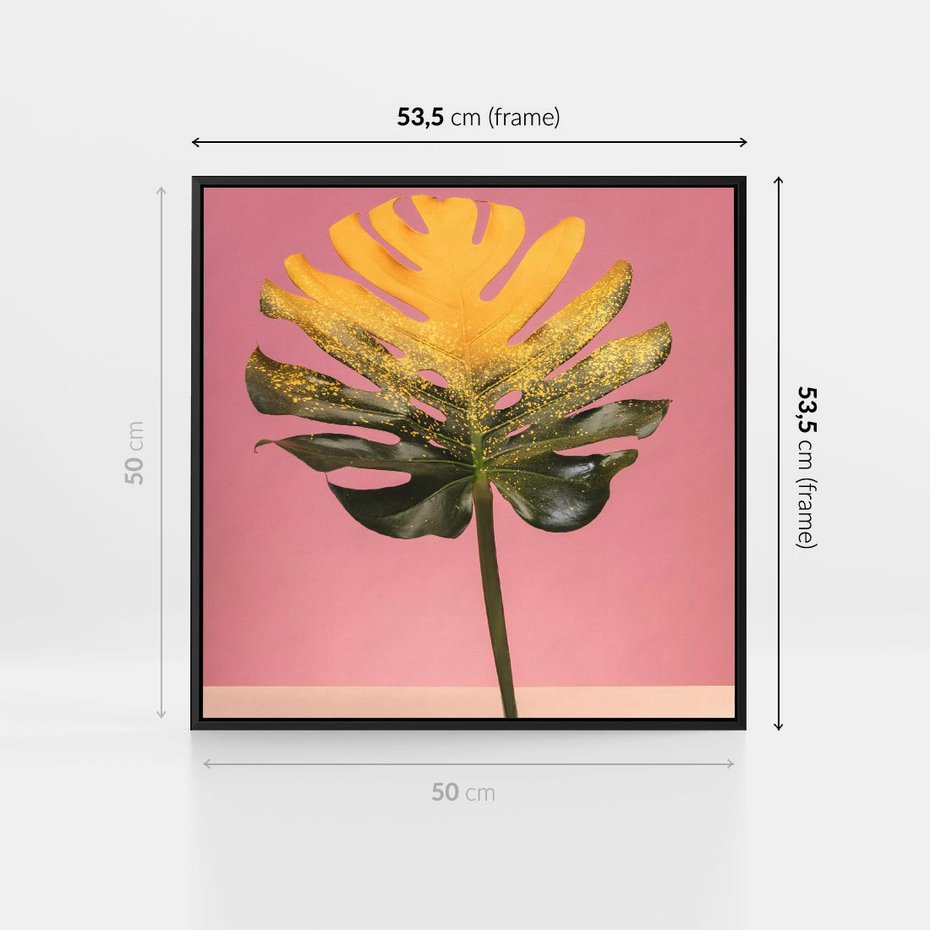 Obraz w ramie 50x50 - Majestatyczna monstera - monstera, liść - rama czarna