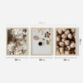 Zestaw obrazy w ramie 50x70 galeria - Kwiaty, róże, kawa - rama drewno