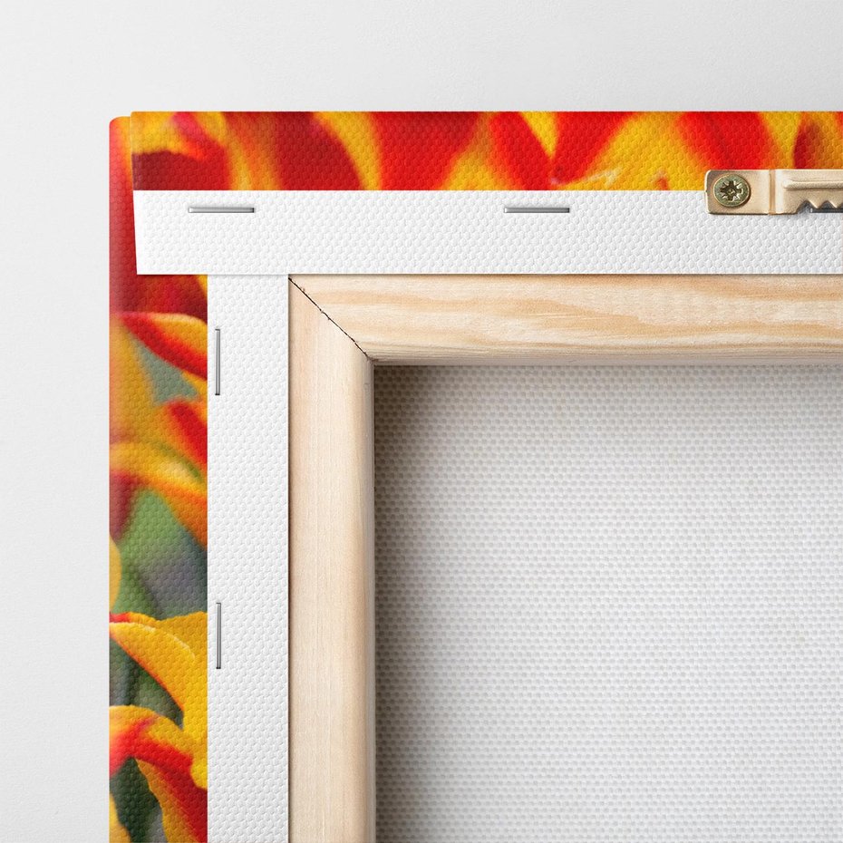 Obraz na płótnie 140x70 - Kwiatowa natura - kwiat, kwiaty