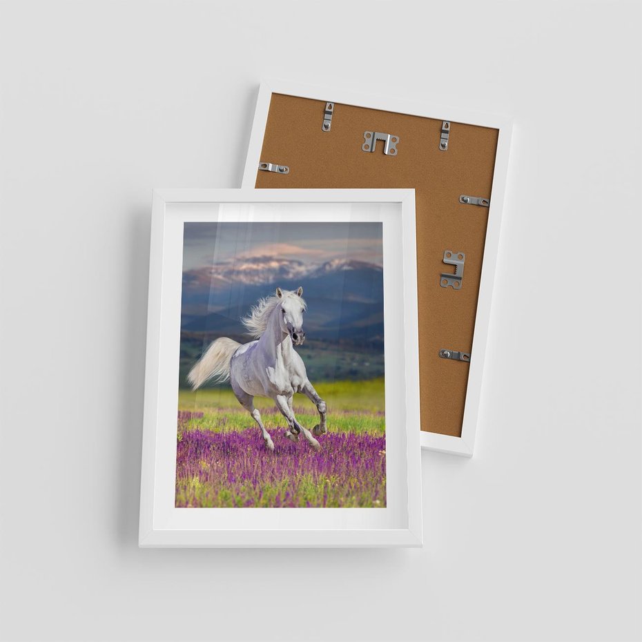 Plakat w ramie 30x40 - Koń Góry: Spotkanie z Wielką Przyrodą - koń, góry - rama biała