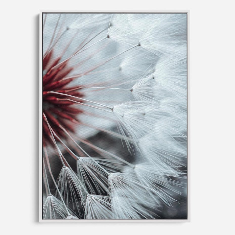 Obraz w ramie 50x70 - Makro świat dmuchawca - dmuchawiec, makro - rama biała