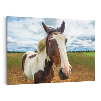 Obraz na płótnie 120x80 - Koń na farmie - koń, konik