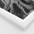 Plakat w ramie 50x70 - Siła Natury - czarno biała fotografia, korzenie wielkiego drzewa - rama biała