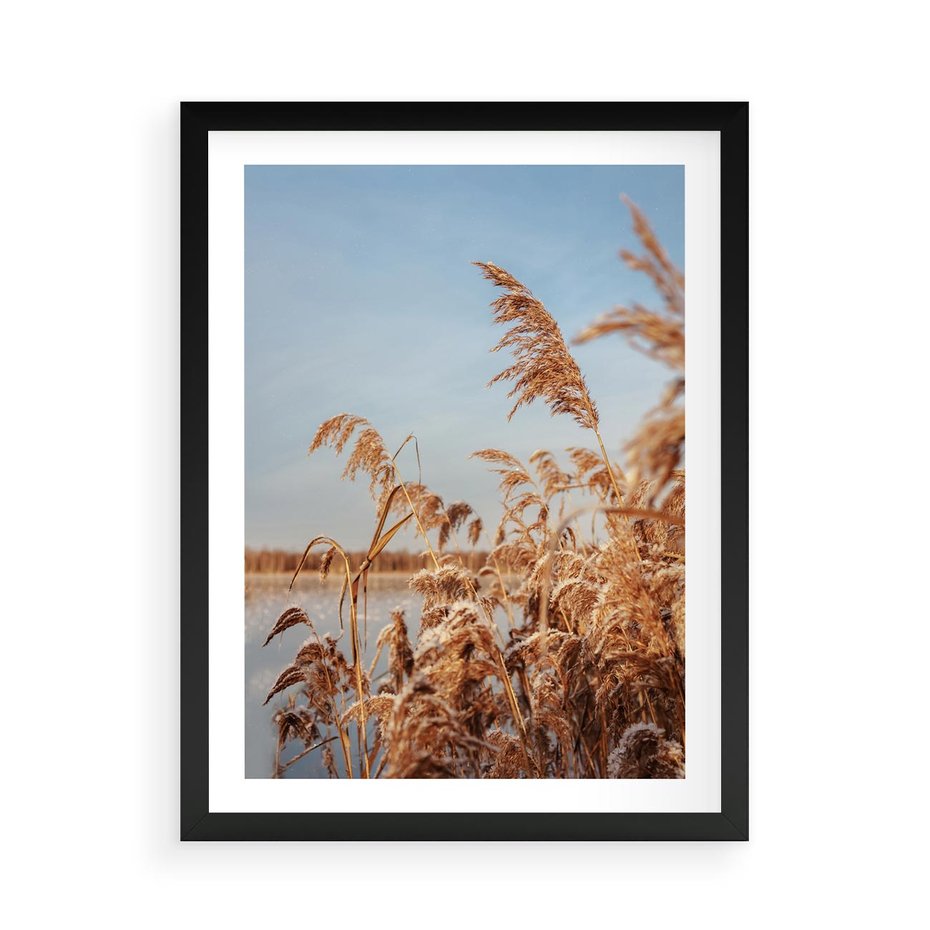 Plakat w ramie 50x70 - Wyraz Stylu - trawy, boho - rama czarna