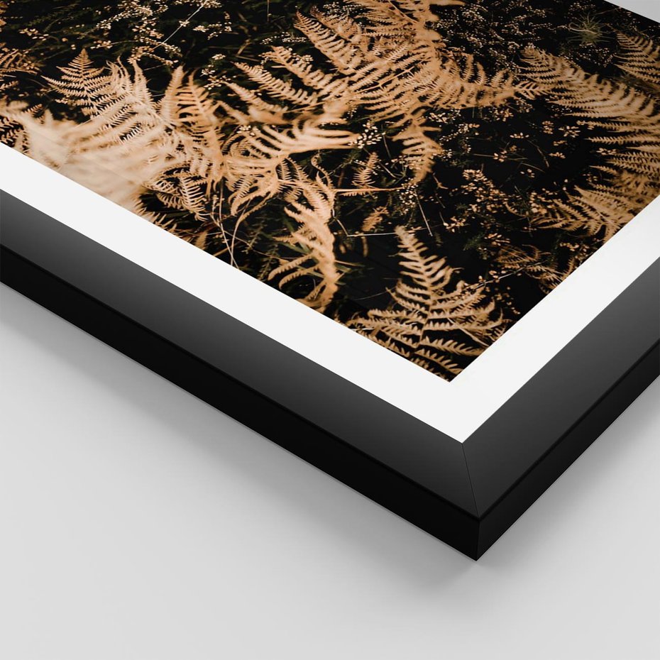 Plakat w ramie 40x50 - Jesienne Paprocie: Kolorowa Paleta Natury - paprocie, jesień - rama czarna