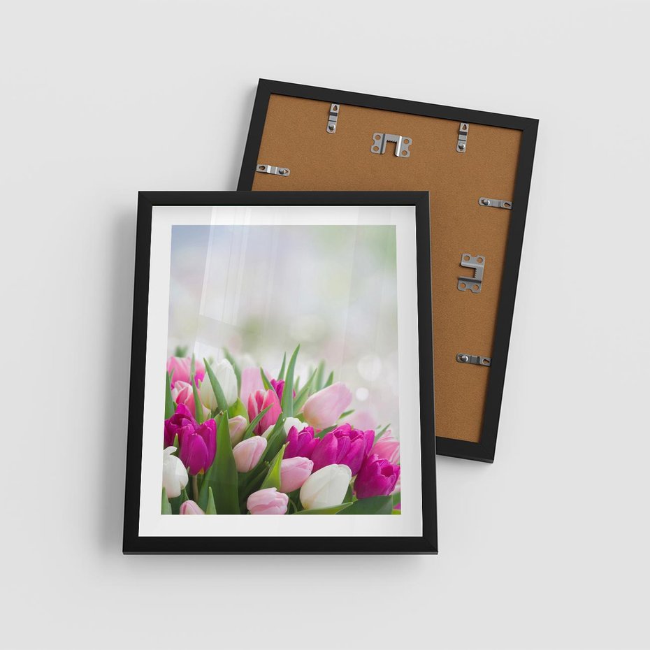 Plakat w ramie 40x50 - Tulipany w pełnym rozkwicie - tulipany, kwiaty - rama czarna