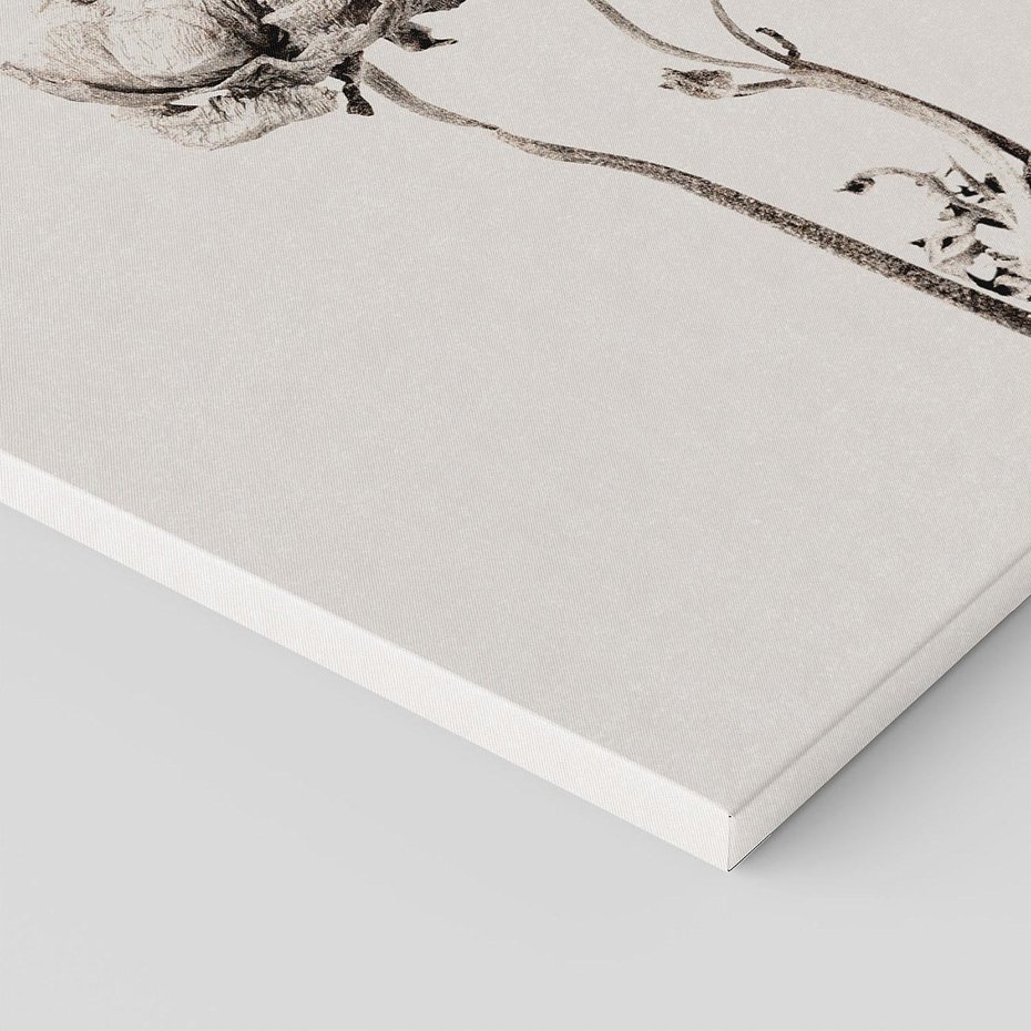 Obraz na płótnie 30x30 - Cień Kwiatowej Delikatności - kwiat, cień