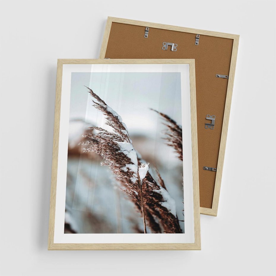 Plakat w ramie 50x70 - Zima na Suchych Trawach - suche trawy, śnieg wysokich na trawach - rama drewno