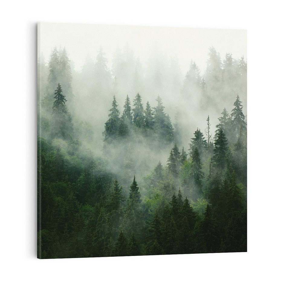 Obraz na płótnie 40x40 - Las Mgły - Las, we