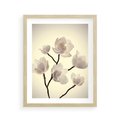 Plakat w ramie 40x50 - Elegancja Natury - magnolia, białe - rama drewno
