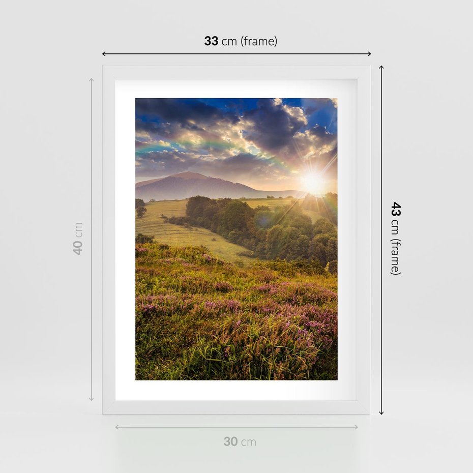 Plakat w ramie 30x40 - Pejzaż na łące - pejzaż, łąka - rama biała