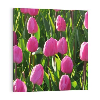Obraz na płótnie 40x40 - Tulipanowa harmonia - tulipany, kwiaty