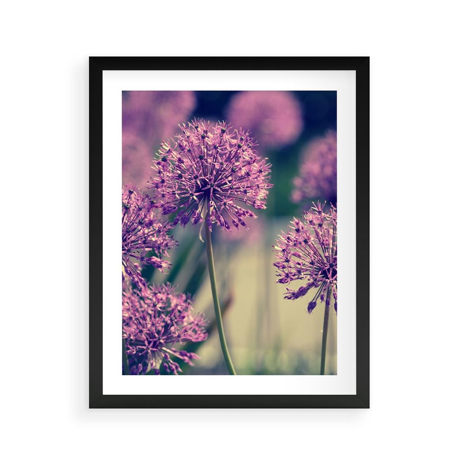 Plakat w ramie 40x50 - Kwiatowa łąka w pełnym rozkwicie - kwiaty, łąka - rama czarna