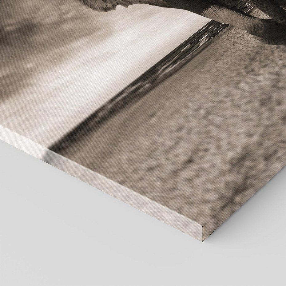 Obraz na płótnie 70x50 - Słoń - Wielki Przyjaciel Morza - słoń, plaża