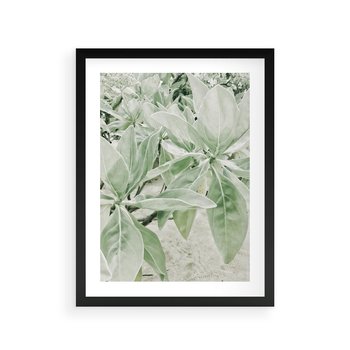 Plakat w ramie 30x40 - Jasnozielone Liście w Kompozycji - liście, jasna zieleń - rama czarna