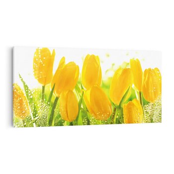 Obraz na płótnie 140x70 - Tulipany - szczyt kwiatowego piękna - tulipany, kwiaty